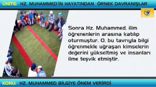 Hz Muhammed Bilgiye Önem Verirdi [upl. by Avuha]