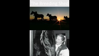 2022 EQUUS  The Breeding Shed  Trailer [upl. by Corwun]