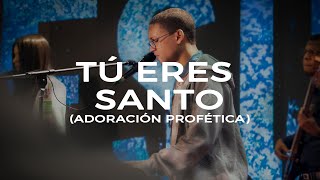 Tu eres Santo Fluye Hoy  Adoración Profética  Gods Version [upl. by Feer]