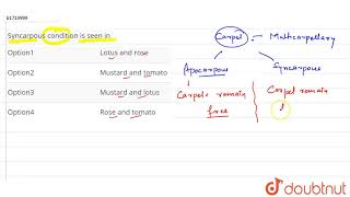 Syncarpous condition is seen in [upl. by Ariec]