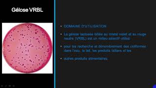 DENOMBREMENT DES COLIFORMES ET DES STREPTOCOQUES FECAUX [upl. by Joycelin]