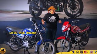 Bajaj Platina 100cc Vs Platina 125cc  Review Diferencias Cual moto comprar 😎🤟🏻🏍🇲🇽 Bajaj [upl. by Atelahs]