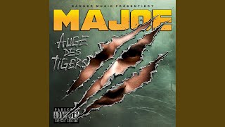 Auge des Tigers Instrumental [upl. by Tallu]