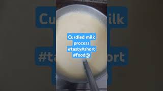 curdled 🥛 milk process love music shortsubscribe subscribe tasty food [upl. by Ecile]