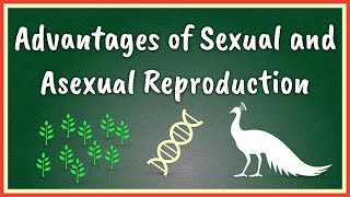 Advantages of Sexual and Asexual Reproduction [upl. by Giffard58]