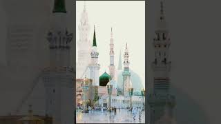 madine Jane walo jao jao fee amanillah new islamic video [upl. by Bathsheba970]