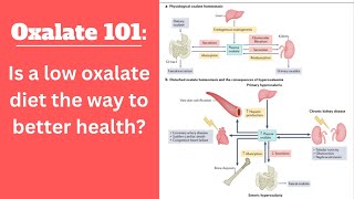 Oxalate 101 Is a low oxalate diet necessary for better health [upl. by Riobard595]