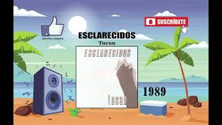 Esclarecidos  Tucan Radio Version [upl. by Hamfurd]