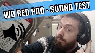 WD Red Pro HDD Noise Level Test [upl. by Cormick]