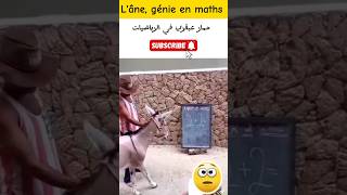 Un âne génie en mathsحمار عبقري رياضيات [upl. by Norbie]