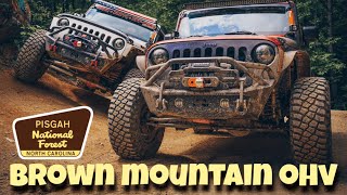 New To OffRoading The Brown Mountain OHV Trail System is The PERFECT Place To Get Started [upl. by Narot]