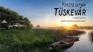 Fekete István Tüskevár [upl. by Meridel]