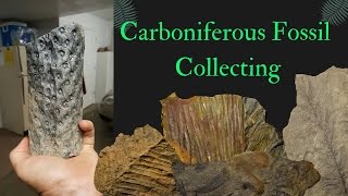 Collecting Carboniferous Fossils Virginia [upl. by Ruomyes690]