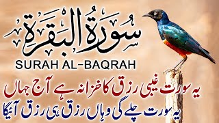 Surah AlBaqarah Full  By Sheikh Safdar HD With Arabic  سورة البقره Ep 116 [upl. by Nomelc]