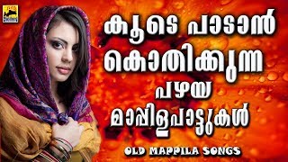 കൂടെ പാടാൻ കൊതിക്കുന്ന പഴയ മാപ്പിള പാട്ടുകൾ Old Is Gold  Malayalam Mappila Songs 2017 [upl. by Yancy]