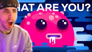 What Are You  Kurzgesagt – In a Nutshell Reaction [upl. by Aernda]