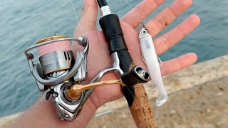 Summer lure Sessions  Seabass Fishing [upl. by Dutch]