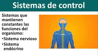 BIOLOGÍA 3  Seres Autótrofos y Heterótrofos Fotosíntesis [upl. by Evans10]