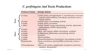 Clostridium Perfringens [upl. by Nnyre781]