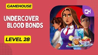 GameHouse Undercover Blood Bonds Level 28 [upl. by Caine]