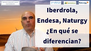 Iberdrola Endesa Naturgy ¿En qué se diferencian [upl. by Xonel]