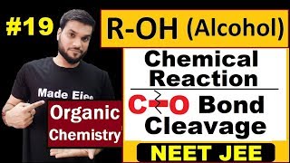 Alcohol Chemical Reactions  Esterification  Reaction with HCl ZnCl2 amp with PX3  NEET JEE [upl. by Ennayoj]