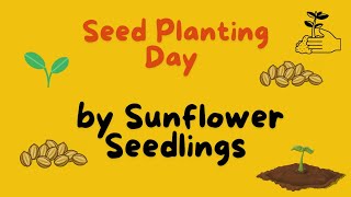 Watch Us Grow Seed Planting Day at Sunflower Nursery School [upl. by Hadnama]