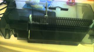 Diy aquaclear 110 refugium and fuge light [upl. by Fidelas]