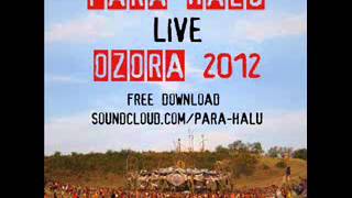 Para Halu  OZORA 2012  90 minutes LIVE SET [upl. by Merri]