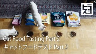 Dry Cat Food Tasting Part 2 [upl. by Yromem]