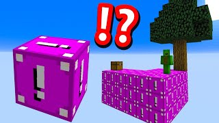 Minecraft Skyblock but EVERYTHING Is MOST DANGEROUS LUCKY BLOCKS [upl. by Grazia]