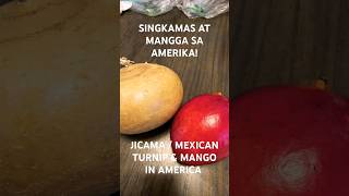 JICAMA  MEXICAN TURNIP amp MANGO shortvideo shortsvideo lifeinamerica buhayamerika jicama mango [upl. by Nangem]