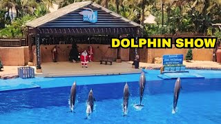 uShaka Marine World 🐬 🐬🐬  Dolphin Show  Durban  South Africa [upl. by Altis93]