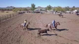 Team Roping Practice with World Champion Mike Beers in Cave Creek AZ [upl. by Ihcelek]