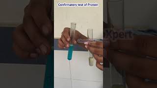 Confirmatory Test For ProteinBiuret Test  Class 12 Food Analysis [upl. by Thain842]