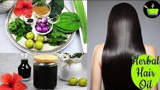 Herbal Hair growth for fast hair growth  Homemade herbal and fastest hair growth oil at home [upl. by Bauer304]