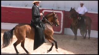 Spot Ferias y Fiestas de Vélez Santander [upl. by Cahan849]