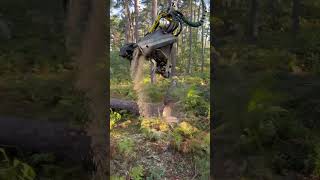 “Tech revolution in forest Machinery AI at work heavymachinery lumberjack loggingequipment tree [upl. by Haney]