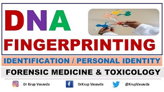 DNA Fingerprinting  DNA Profiling  DNA Typing  Dr Krup Vasavda [upl. by Camila]