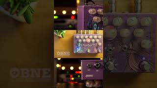 Old Blood Noise Endeavors Dark Light Dual Stereo Reverb guitar guitarpedals pedal [upl. by Nerek]