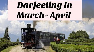 Darjeeling in April  Darjeeling In March  Darjeeling In March April  Darjeeling Tour Guide [upl. by Electra]