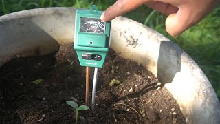 How to Make Soil Acidic and Raise or Lower pH Level of Soil [upl. by Atsyrhc173]