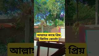 আল্লাহর কাছে প্রিয় জিনিস কোনটা islamicstatus ইস্তেগফার mizanurrahmanazhari trending love yt [upl. by Constanta]