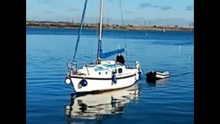 Westerly Centaur sailing  last night afloat 2023 sunrise and a seal on River Medway [upl. by Schroer]