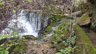 Coto de Istán nacimiento del Nogal y del río Molinos ¡Vive la Montaña ¡Descubre Málaga [upl. by Garling371]