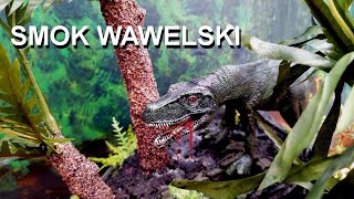 Smok wawelskiThe Wawel Dragon and the Giant Triassic diorama from Poland [upl. by Romonda]