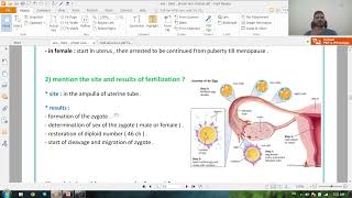 general embryology  theoretical revision مراجعة نظري مادة الامبريولوجي [upl. by Imhskal]