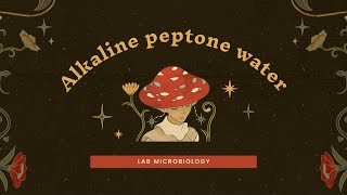 Alkaline peptone water [upl. by Nathanael224]