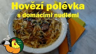 Hovězí polévka domácí nudle [upl. by Hadias406]