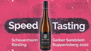 Speedtasting Riesling vom Gelben Sandstein [upl. by Otina532]